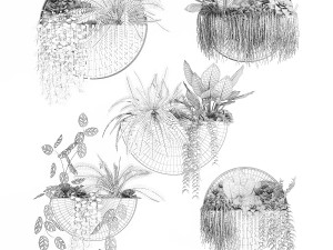 Vertical Gardening Potted Succulents Hanging Plants Fern 1447 3D Модель