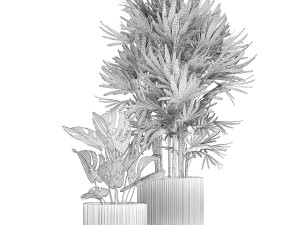 Small white potted plants Monstera Raphis palm 1448 3D-Modell