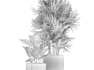 Small white potted plants Monstera Raphis palm 1448 3D Model