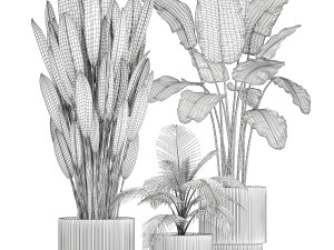 Small Potted Plants Strelitzia Banana Coconut Palm 1449 3D 모델