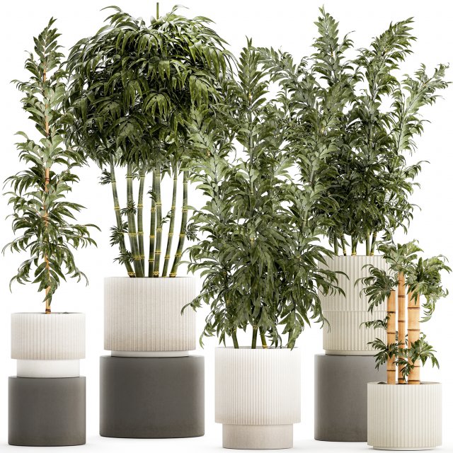Beautiful small white modern potted bamboo bushes 1450 3D Model .c4d .max .obj .3ds .fbx .stl .blend 