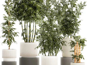Beautiful small white modern potted bamboo bushes 1450 3D Model