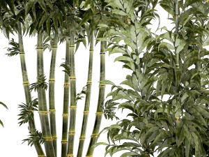 Beautiful small white modern potted bamboo bushes 1450 3D Model