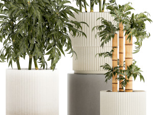 Beautiful small white modern potted bamboo bushes 1450 3D Model