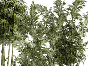 Beautiful small white modern potted bamboo bushes 1450 3D Model