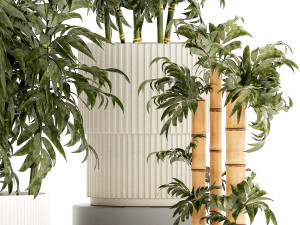 Beautiful small white modern potted bamboo bushes 1450 3D Model