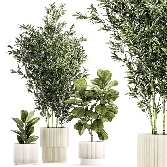 Set of small plants ficus lyrata tree pot bush bamboo 1451 3D 模型 .c4d .max .obj .3ds .fbx .stl .blend 