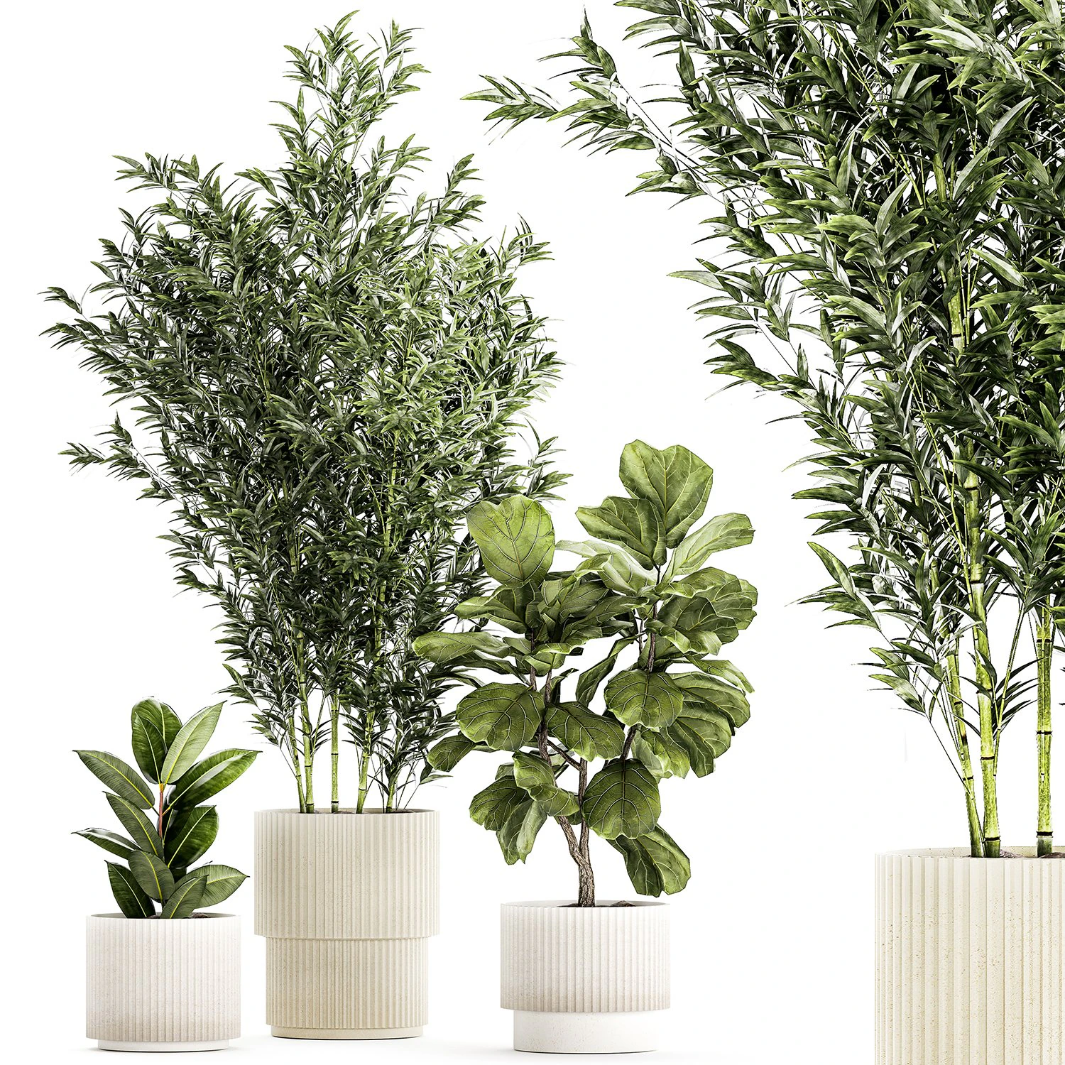 Set of small plants ficus lyrata tree pot bush bamboo 1451 3D Model .c4d .max .obj .3ds .fbx .stl .blend 