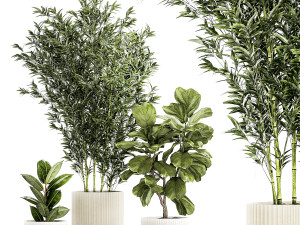 Set of small plants ficus lyrata tree pot bush bamboo 1451 Modèle 3D
