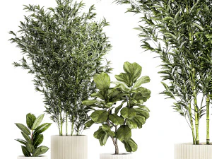Set of small plants ficus lyrata tree pot bush bamboo 1451 3D Model