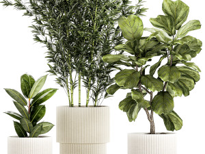 Set of small plants ficus lyrata tree pot bush bamboo 1451 3D 模型