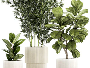 Set of small plants ficus lyrata tree pot bush bamboo 1451 3D Model