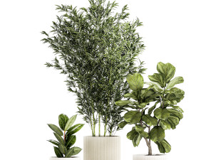 Set of small plants ficus lyrata tree pot bush bamboo 1451 3D 模型