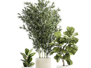 Set of small plants ficus lyrata tree pot bush bamboo 1451 3D Model