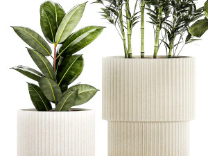 Set of small plants ficus lyrata tree pot bush bamboo 1451 3D Model