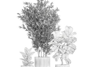 Set of small plants ficus lyrata tree pot bush bamboo 1451 3D 模型