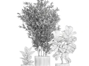 Set of small plants ficus lyrata tree pot bush bamboo 1451 3D Model