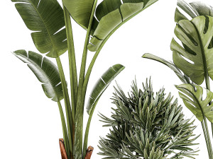 Set of small Strelitzia Monstera Raphis Palm plants 1452 3D 模型