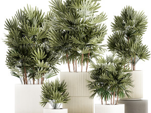 Set of small plants in modern Raphis Palm pots 1453 3D मॉडल