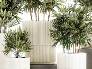 Set of small plants in modern Raphis Palm pots 1453 3D Model