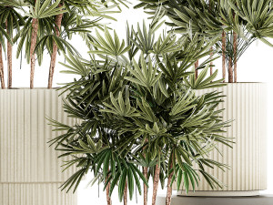 Set of small plants in modern Raphis Palm pots 1453 3D Model