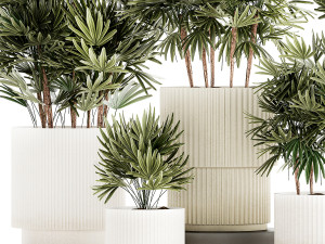 Set of small plants in modern Raphis Palm pots 1453 3D Model