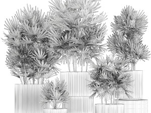 Set of small plants in modern Raphis Palm pots 1453 3D Model