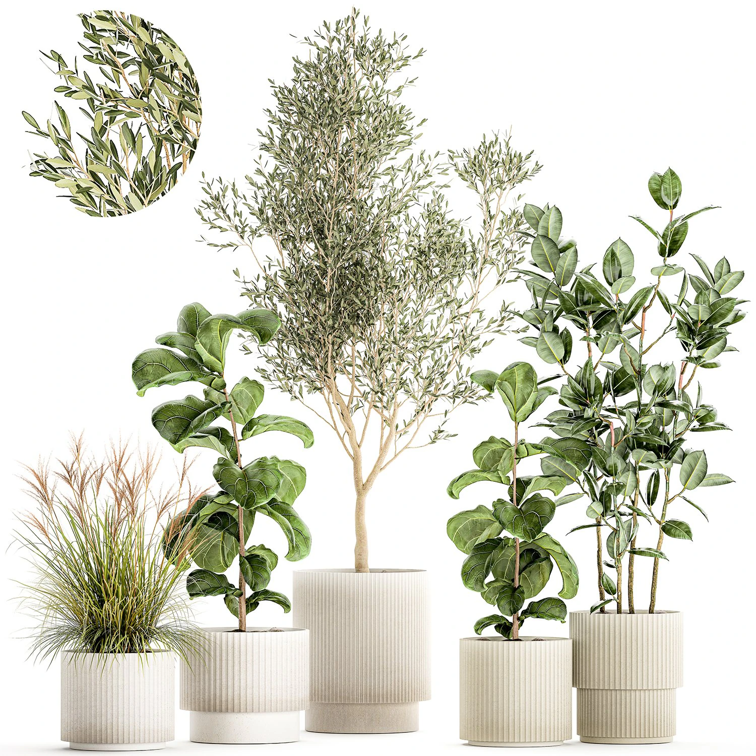 Set of plants white modern pots ficus lyrata olive tree 1456 3D Model .c4d .max .obj .3ds .fbx .stl .blend