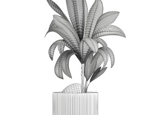 Small Young Coconut Tree Coconut Nucifera Pot 1457 Model 3D