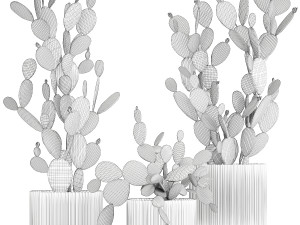 Set of cacti in white pots prickly pear Opuntia 1458 3D Модель