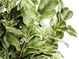 Tree in modern white flower pot Ficus lyrata 1459 3D Модель
