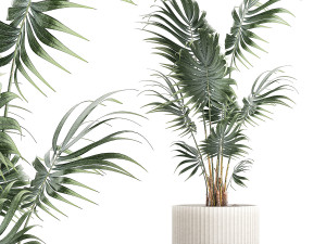 Beautiful small indoor Howea palm tree in a flower pot 1460 Modèle 3D