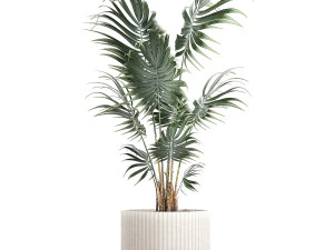 Bellissima piccola palma Howea da interno in un vaso da fiori 1460 Modello 3D