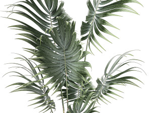 Beautiful small indoor Howea palm tree in a flower pot 1460 Modèle 3D