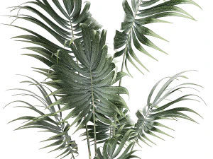 Bellissima piccola palma Howea da interno in un vaso da fiori 1460 Modello 3D