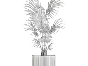 Beautiful small indoor Howea palm tree in a flower pot 1460 Modèle 3D