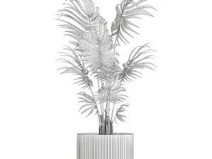 Bellissima piccola palma Howea da interno in un vaso da fiori 1460 Modello 3D