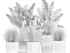 Pampas grass bushes in pots landscaping feather grass 1461 Modelo 3D