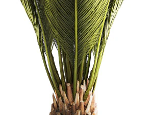 Small date palm in a white modern pot 1463 3D Model
