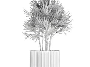 Small Raphis palm in a white modern pot 1464 Model 3D