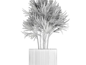 Small Raphis palm in a white modern pot 1464 3D Model
