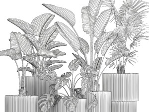 Small plants in white pots Strelitzia palma monstera 1465 3D Model
