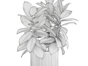 Small tree in a modern white pot Ficus elastica 1466 Modelo 3D
