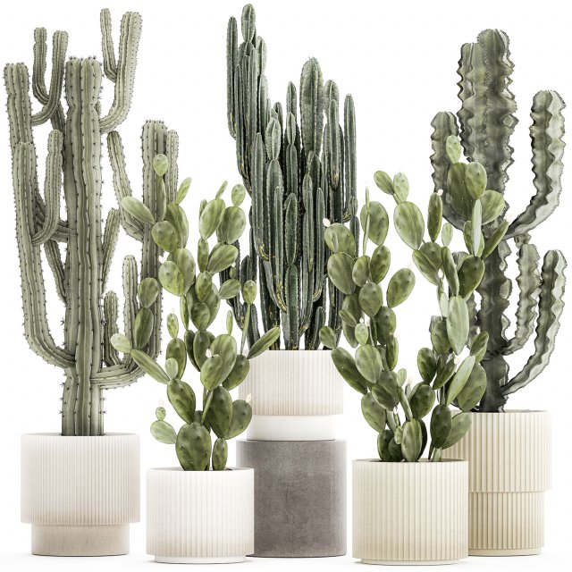 Collection of cacti potted desert plants Cereus Prickly pear 1468 3D Model .c4d .max .obj .3ds .fbx .stl .blend 