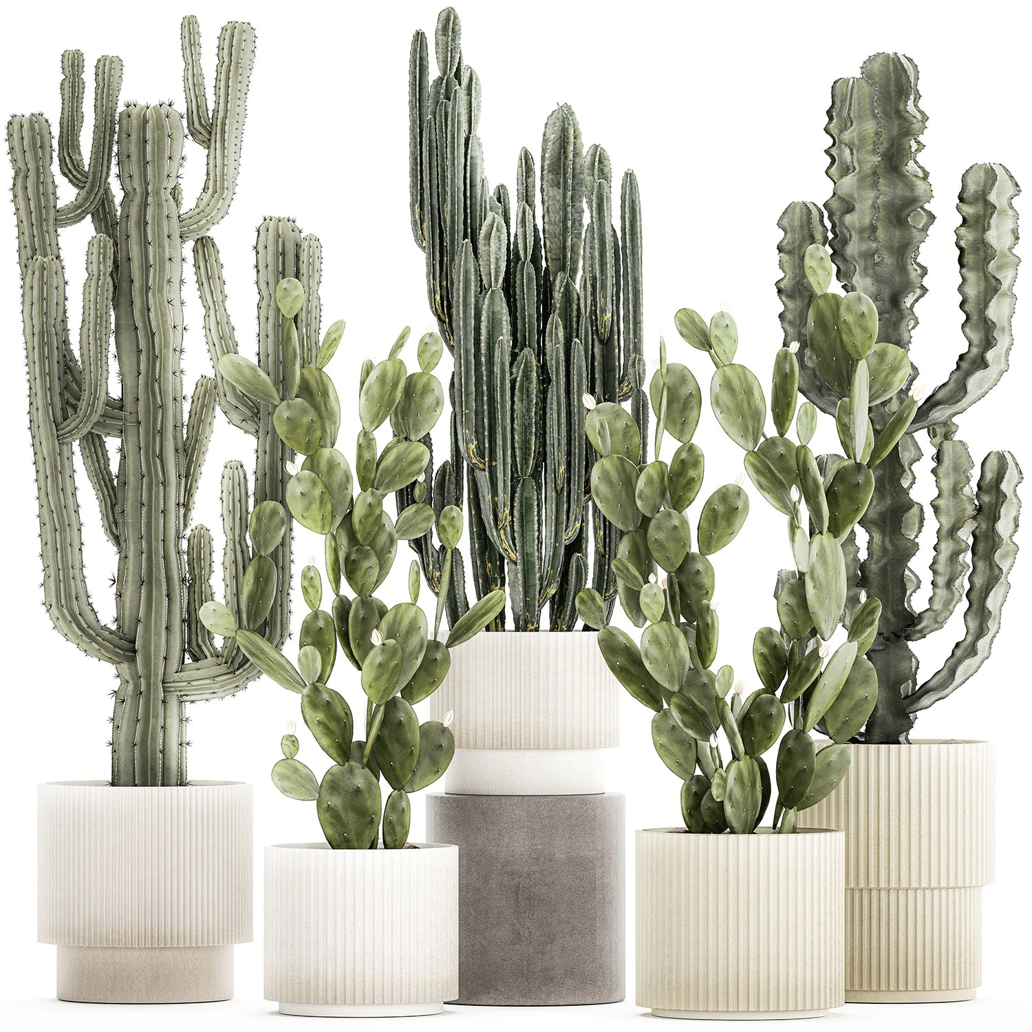 Cole&ccedil;&atilde;o de cactos em vasos de plantas do deserto Cereus Prickly pear 1468 Modelo 3D .c4d .max .obj .3ds .fbx .stl .blend 