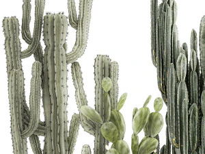 Cole&ccedil;&atilde;o de cactos em vasos de plantas do deserto Cereus Prickly pear 1468 Modelo 3D