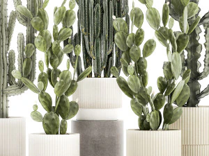 Cole&ccedil;&atilde;o de cactos em vasos de plantas do deserto Cereus Prickly pear 1468 Modelo 3D