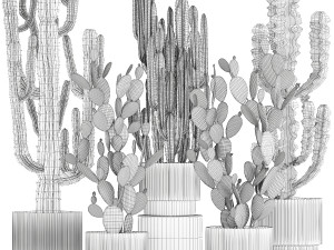 Collection of cacti potted desert plants Cereus Prickly pear 1468 3D Model