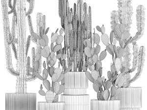 Cole&ccedil;&atilde;o de cactos em vasos de plantas do deserto Cereus Prickly pear 1468 Modelo 3D