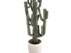 Indoor cactus pot desert plants Carnegiea Saguaro 1469 3D Model